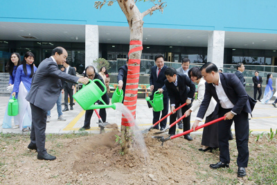 Ngành y tế Hà Nội phát động hưởng ứng Tết trồng cây Xuân Ất Tỵ 2025