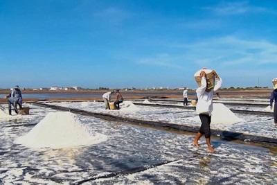 Bạc Liêu sẵn sàng cho Festival nghề Muối Việt Nam