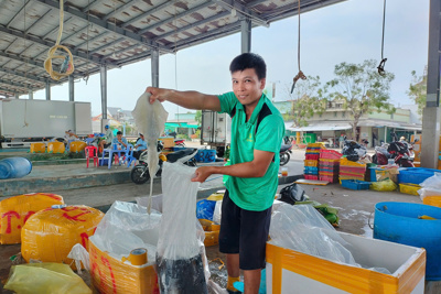 Lộc biển đầu xuân đầy ắp của ngư dân Cà Mau