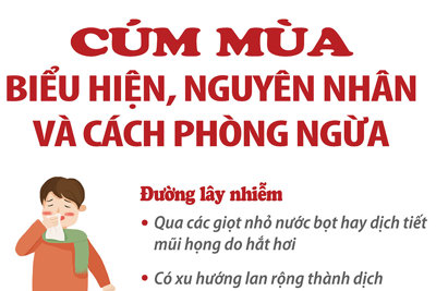 Cúm mùa: Biểu hiện, nguyên nhân và cách phòng ngừa