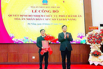 TAND Cấp cao tại Đà Nẵng có thêm Phó Chánh án mới