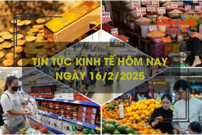 Tin tức kinh tế 16/2: giá gạo bán lẻ vẫn ở mức đỉnh