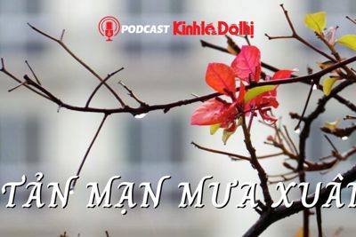 Podcast: Tản mạn mưa xuân