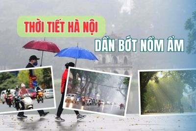 Hà Nội mưa rét, trời dần bớt nồm ẩm