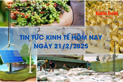 Tin tức kinh tế 21/2: giá hồ tiêu xuất khẩu tăng 66,4%