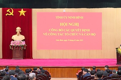 Ninh Bình: nhiều lãnh đạo do BTV Tỉnh ủy quản lý xin nghỉ hưu trước tuổi