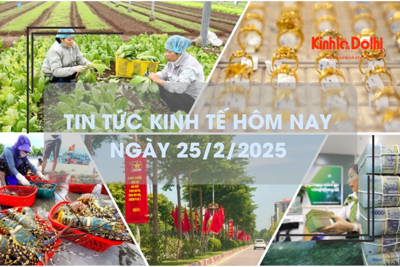 Tin tức kinh tế 25/2: xuất khẩu rau quả giảm mạnh 2 tháng đầu năm