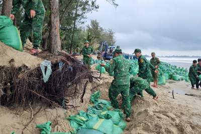 Quảng Ngãi: hàng trăm người dốc sức cứu bờ biển Mỹ Khê