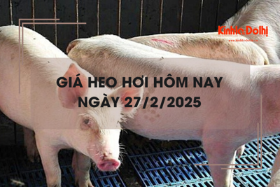 Giá heo hơi hôm nay 27/2: tăng nhẹ, miền Nam chạm đỉnh 80.000 đồng/kg