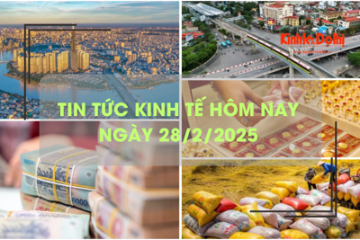 Tin tức kinh tế 28/2: xuất khẩu gạo sang Philippines giảm sâu