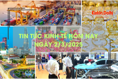 Tin tức kinh tế 2/3: thanh long trở lại "ngôi vương" xuất khẩu 