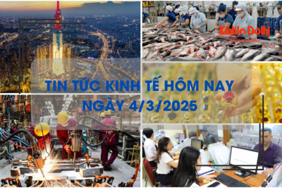 Tin tức kinh tế 4/3: giá cá tra cao nhất 3 năm