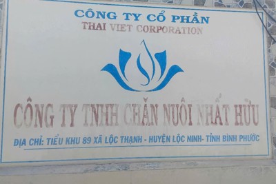 Trại heo đã ghi nhận thiệt hại của người dân sau khi báo chí phản ánh