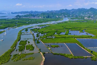 Khu kinh tế Hải Phòng hướng tới phát triển không gian xanh