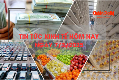 Tin tức kinh tế 7/3: rau củ và trái cây giảm giá mạnh 