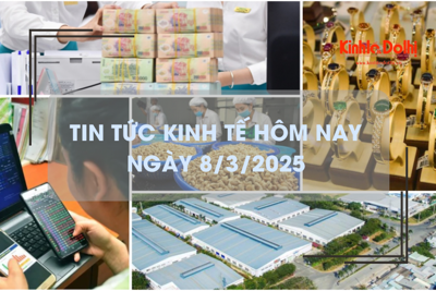 Tin tức kinh tế 8/3: xuất khẩu hạt điều giảm 2 con số