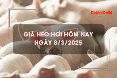 Giá heo hơi hôm nay 8/3: tiếp tục tăng tại nhiều địa phương 