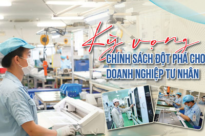 Kỳ vọng chính sách đột phá cho doanh nghiệp tư nhân