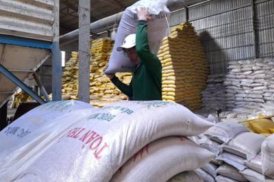 Nhiều thương nhân được cấp giấy chứng nhận nhưng gần 2 năm không xuất khẩu gạo
