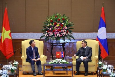 Chủ tịch Quốc hội Lào Saysomphone Phomvihane đánh giá cao vai trò của Hội Hữu nghị hai nước