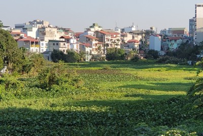 Hà Nội: Hàng trăm hộ dân khốn đốn vì ô nhiễm từ hồ Tứ Liên