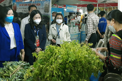 Hội chợ hàng Việt Nam được người tiêu dùng yêu thích thu hút 100 doanh nghiệp tham gia