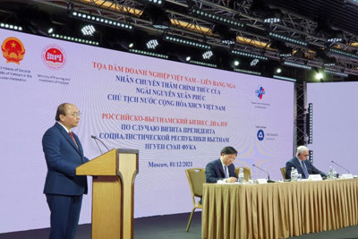 Chủ tịch nước: Nâng kim ngạch thương mại Việt Nam - Nga tăng 15 lần