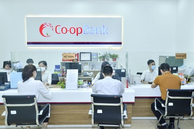 Co-opBank tập trung hỗ trợ quỹ tín dụng nhân dân, khách hàng và doanh nghiệp vượt khó Anh Quân