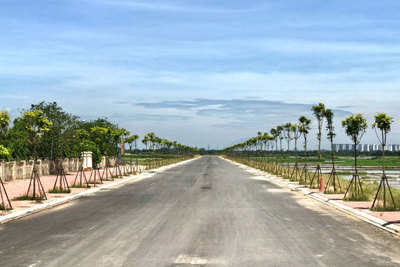 Hà Nội: Phê duyệt chỉ giới đường đỏ tuyến đường Thọ Am - Nội Am, huyện Thanh Trì