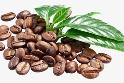 Giá cà phê hôm nay 17/8: Thêm 300 đồng/kg, 2 yếu tố sẽ giúp cà phê tiếp tục tăng trong tuần này