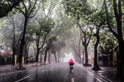 Thời tiết hôm nay (14/11): Hà Nội trời lạnh, mưa rải rác
