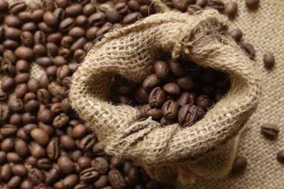 Giá cà phê hôm nay 24/8: Đồng loạt tăng mạnh, Robusta vượt mốc 1.900 USD/tấn
