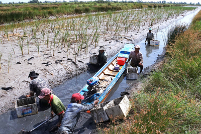Việt Nam - Quốc gia dễ bị tổn thương nhất do biến đổi khí hậu