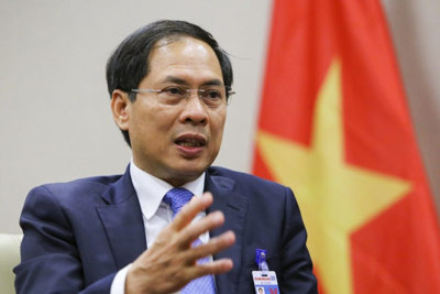 Bộ trưởng Ngoại giao: Đại sứ Nguyễn Hồng Thao tái đắc cử khẳng định vị thế của Việt Nam