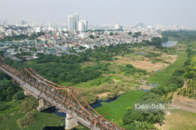Hà Nội: Mê mẩn ngắm đồng cỏ lau ngay dưới chân cầu Long Biên lịch sử
