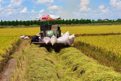 Nông dân và doanh nghiệp sẽ giàu lên khi biết sử dụng hiệu quả phụ phẩm nông nghiệp