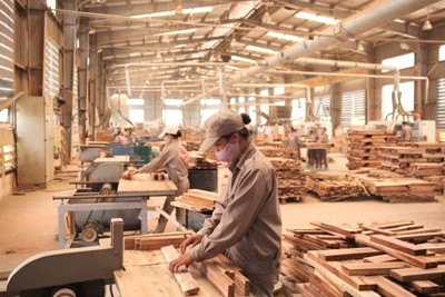 Hoa Kỳ mong muốn Việt Nam trở thành mô hình điểm thế giới về thực thi pháp luật ngành gỗ