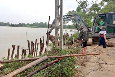 Hà Nội: Đóng hơn 200 cọc tre khắc phục sự cố đê sông Bùi tại huyện Chương Mỹ