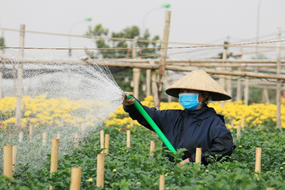 Quận Bắc Từ Liêm từng bước khôi phục sản xuất, phát triển kinh tế, đảm bảo phòng dịch