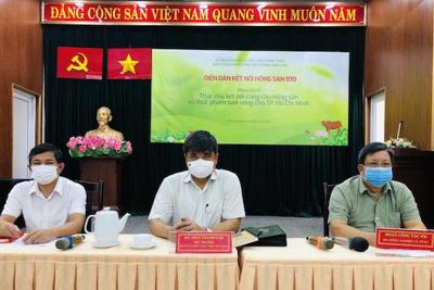 Tổ công tác 970 kết nối tiêu thụ nông sản cho TP Hồ Chí Minh