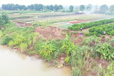 Hà Nội: Sạt lở nghiêm trọng bờ bãi sông Hồng tại huyện Gia Lâm