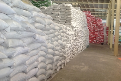 Xuất cấp hơn 1.847 tấn gạo hỗ trợ tỉnh Quảng Nam, Quảng Ngãi