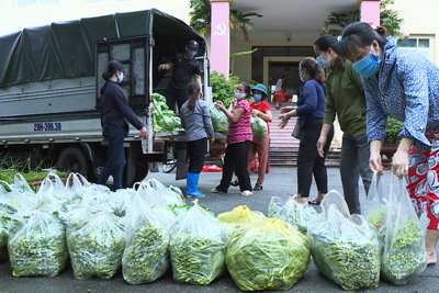 Hà Đông: Hội Phụ nữ hỗ trợ tiêu thụ 2,2 tấn rau cho nông dân phường Đồng Mai