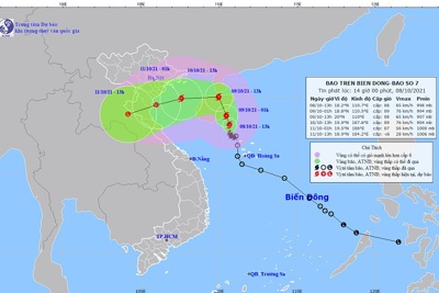 Bão số 7 có gió mạnh giật cấp 11, có thể xuất hiện lũ từ Thanh Hóa đến Quảng Bình