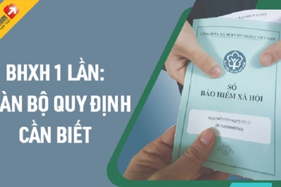 [Chính sách bảo hiểm] Hưởng bảo hiểm xã hội một lần