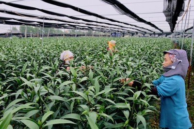 Giám đốc Sở NN&PTNT Hà Nội Chu Phú Mỹ: Kỳ vọng những bước tiến mới về khoa học nông nghiệp