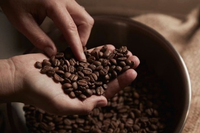 Giá cà phê hôm nay 29/8: 1 tuần tăng liên tục của cà phê, Robusta cao nhất 4 năm qua