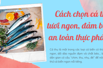 [Infographic] Cách chọn cá thu tươi ngon, đảm bảo an toàn thực phẩm