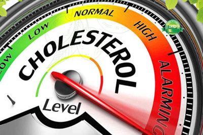 Một số chế phẩm cho người có cholesterol cao