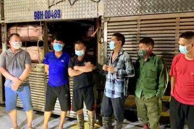 Quảng Ninh: Giấu 4 người vào xe chở lợn để qua chốt kiểm dịch Covid-19